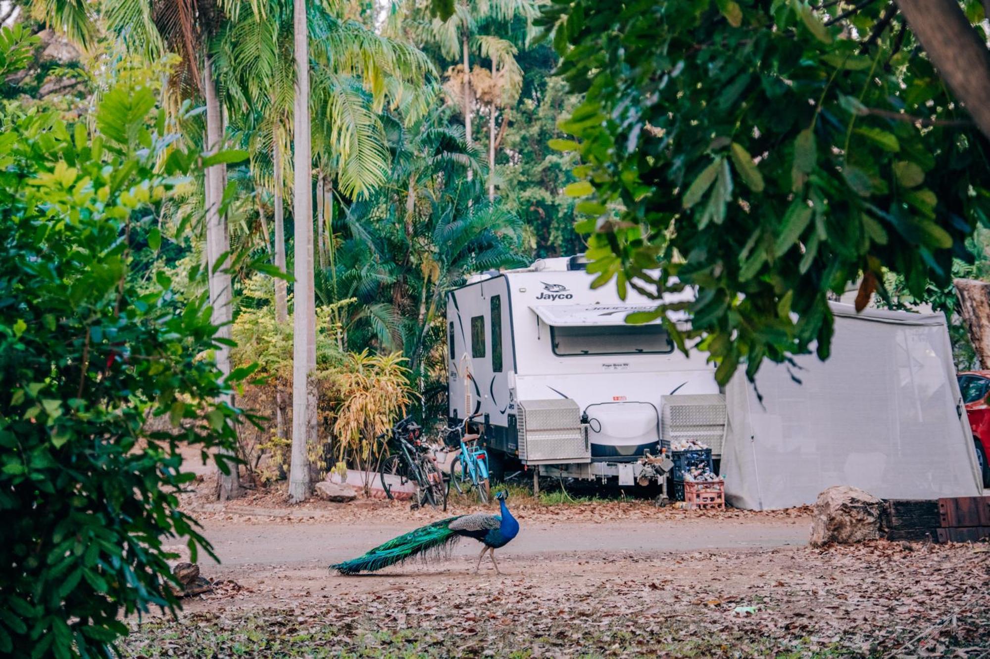 Big4 Howard Springs Holiday Park ダーウィン エクステリア 写真